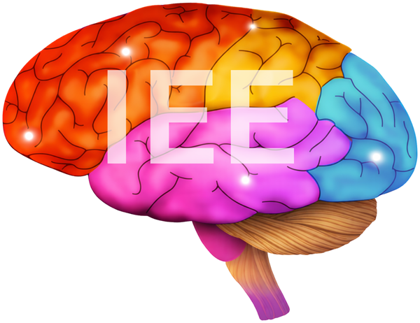 IEE logo